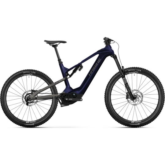 Haibike AllMtn CF 10