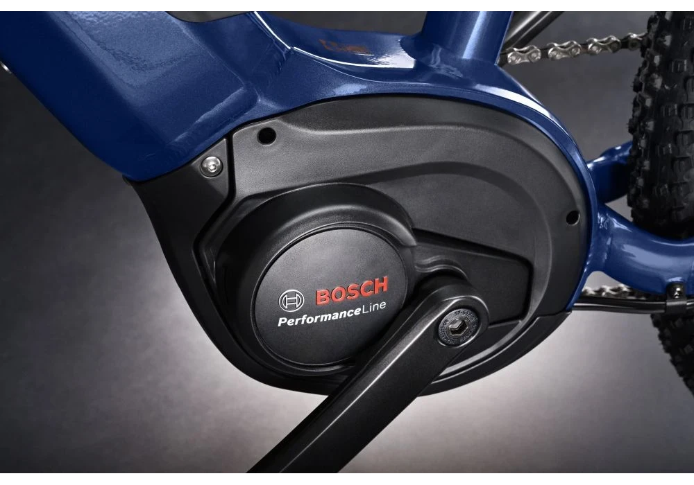 Bosch Performance Line Smart System